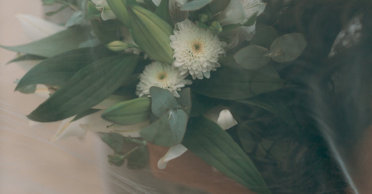 Flower Crown Trends for Gold Coast Brides