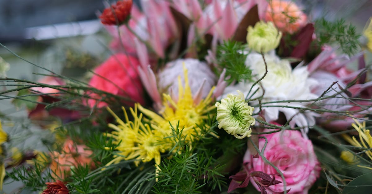 Luxurious Floral Arches: A Guide for Gold Coast Weddings