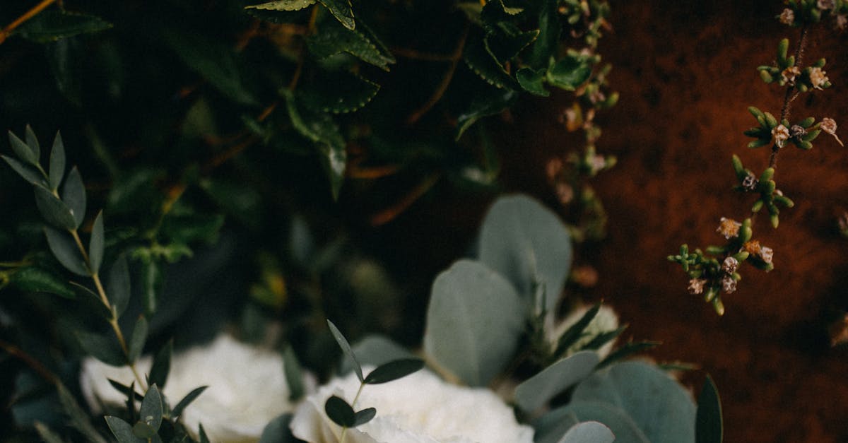 Preserving Your Wedding Blooms: Techniques for Lasting Memories
