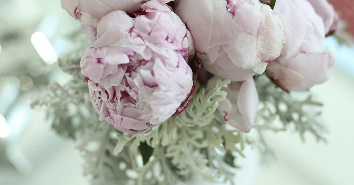 Top Minimalist Floral Trends for Gold Coast Weddings in 2023