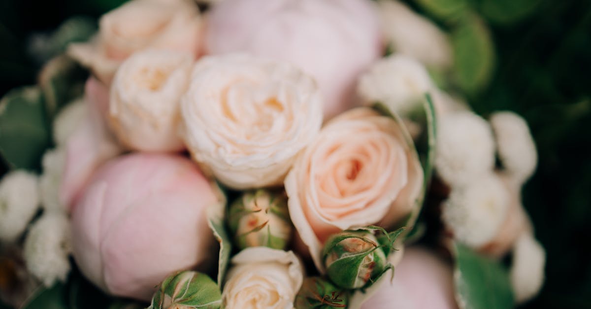 Traditional vs Modern Bridal Bouquets: A Gold Coast Perspective